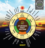 Load image into Gallery viewer, Ayurveda expert for Diet and Lifestyle plan